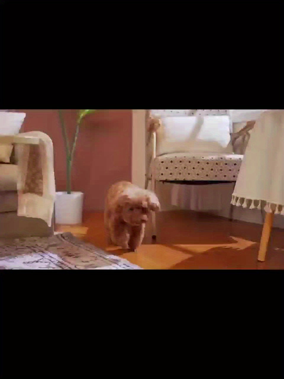 Exquisite Diamond Cuban Chain Dog Collar – 13mm Wide Geometric Pattern Metal Necklace for Small, Medium, Large Dogs & Cats, Durable with Crystal Accents