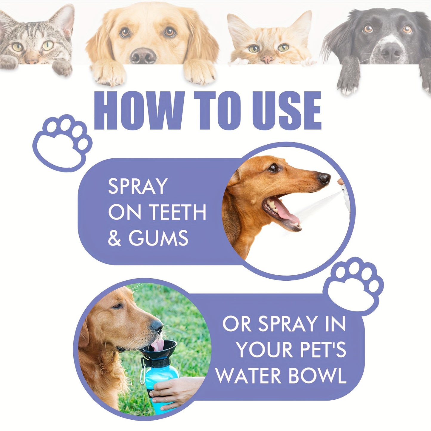 Cat and Dog Teeth Cleaning Spray - 30ml Oral Care Spray for Removing Stains and Freshening Breath, Pet Dental Cleaner