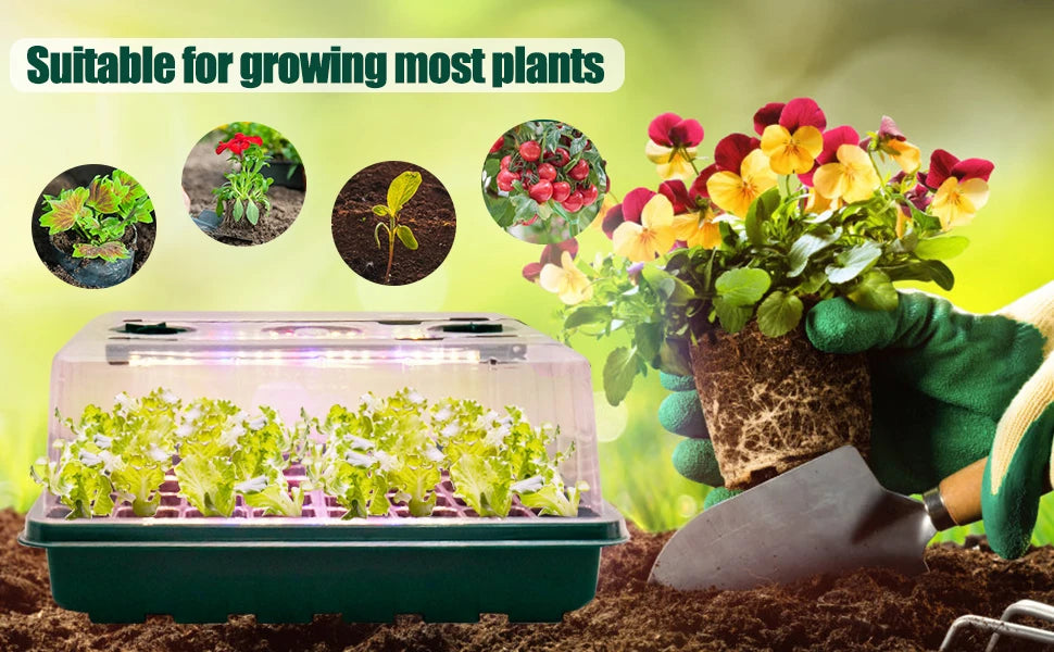 36-Cell Seed Starter Tray with Grow Light — Adjustable 3-Color Lighting, Humidity Dome for Seed Germination
