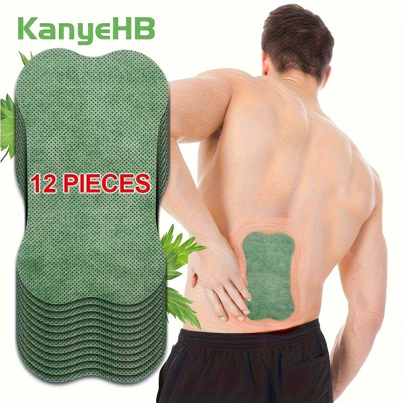 W009 Green Bone Lumbar Spine Patch – Targeted Relief for Lower Back Pain