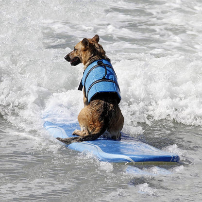 Premium Dog Life Jacket with Ergonomic Handle – Adjustable and Buoyant for Maximum Water Safety