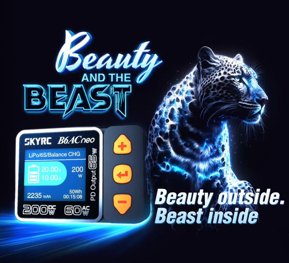 SKYRC B6ACneo Balance Charger - 200W DC, 60W AC, 10A Smart Battery Charger for LiPo LiFe LiIon LiHV NiMH NiCd Pb