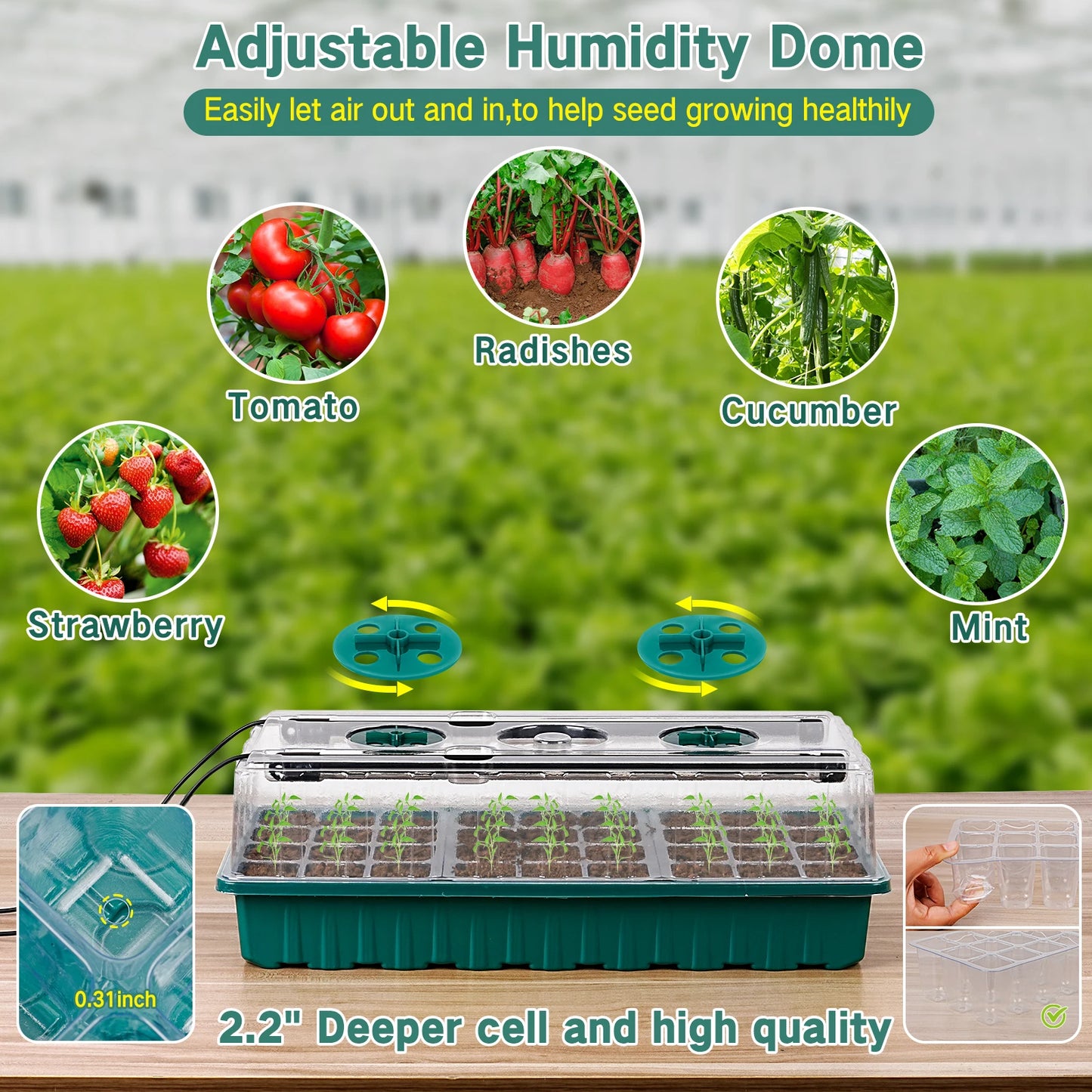 36-Cell Seed Starter Tray with Grow Light — Adjustable 3-Color Lighting, Humidity Dome for Seed Germination