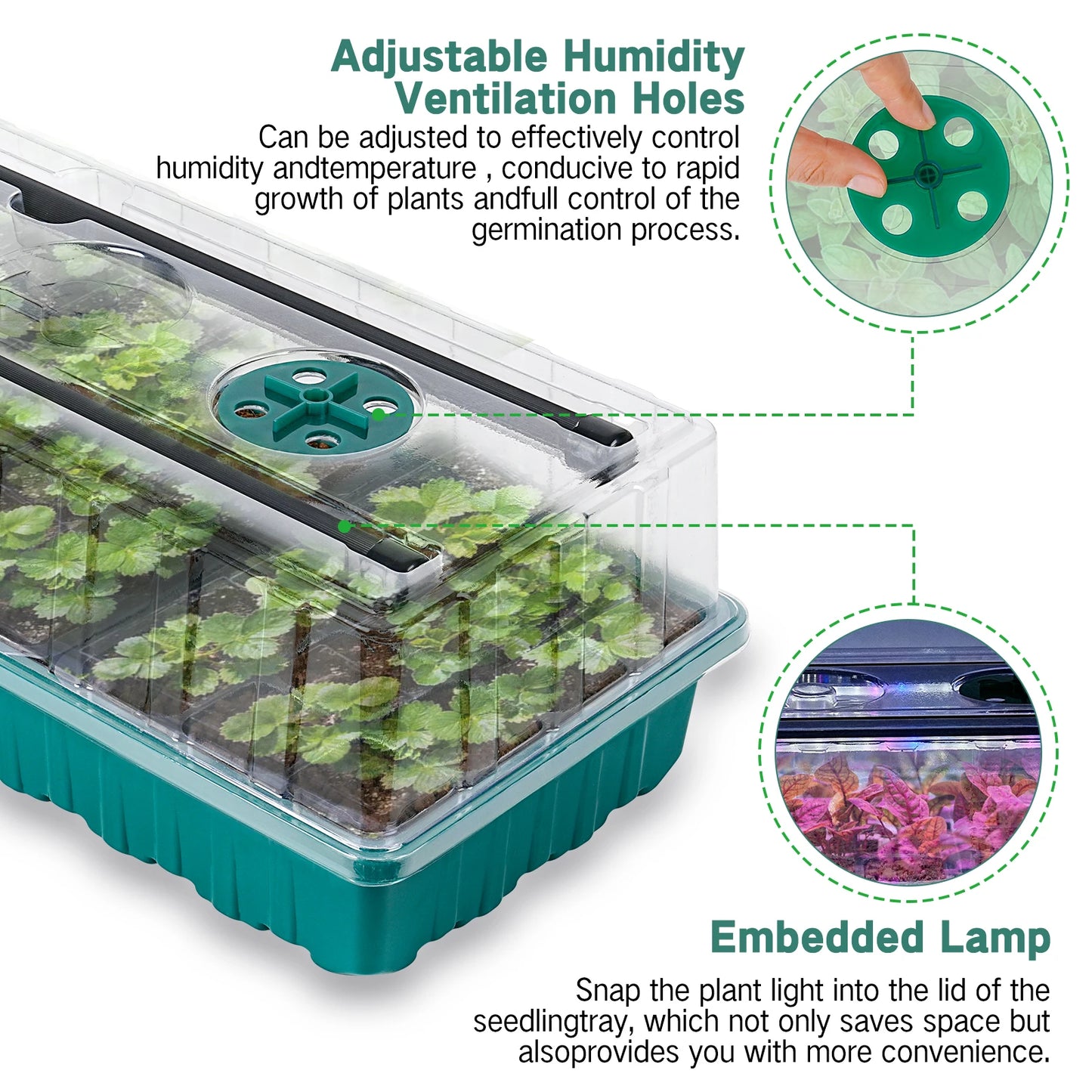 36-Cell Seed Starter Tray with Grow Light — Adjustable 3-Color Lighting, Humidity Dome for Seed Germination