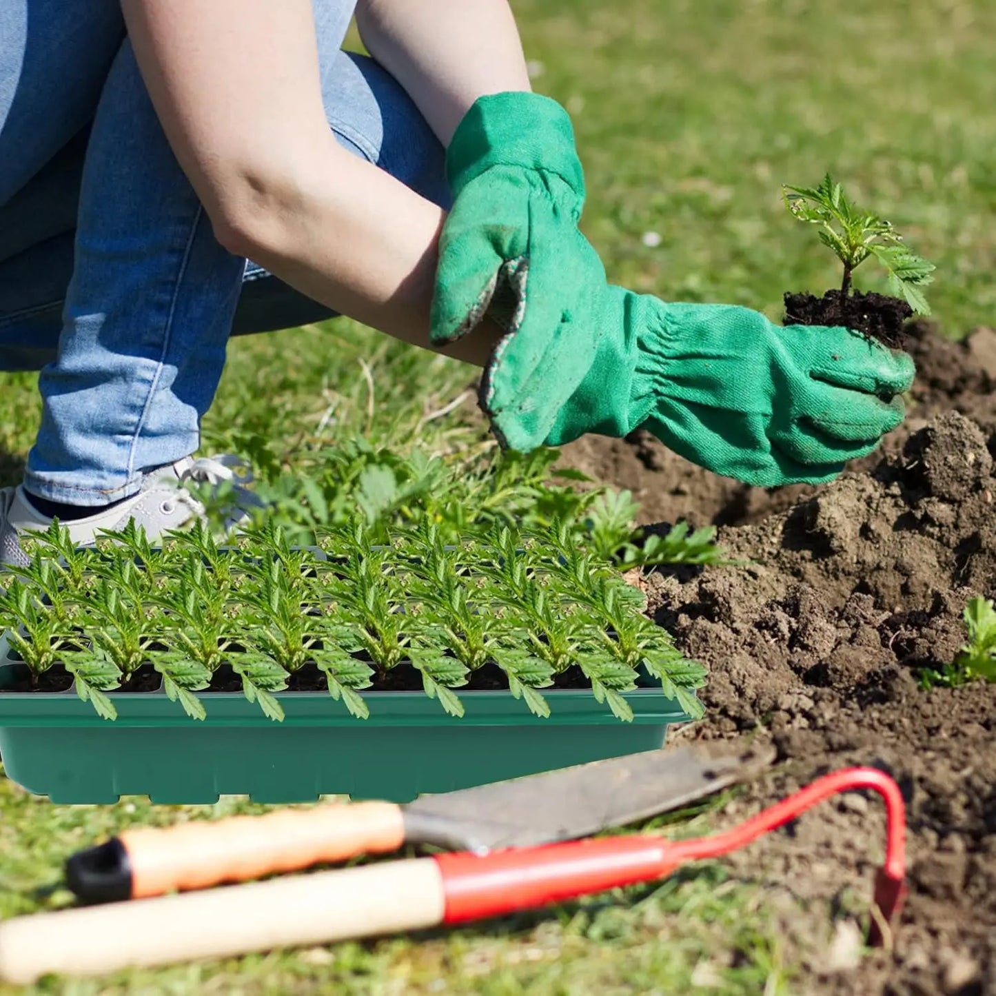 36-Cell Seed Starter Tray with Grow Light — Adjustable 3-Color Lighting, Humidity Dome for Seed Germination