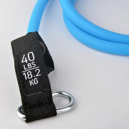 12PCS Resistance Bands Set – Professional Bodybuilding & Weight Training Equipment, Elastic Rubber Bands for Home Gym Fitness