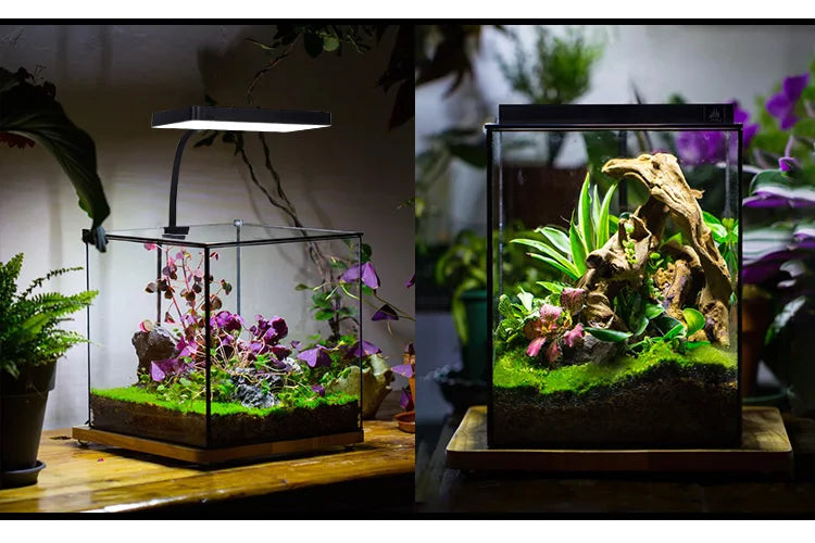 WEEK AQUA USB Aquarium Light — Full Spectrum LED Plant Grow Light for Nano Aquariums & Microlandscapes
