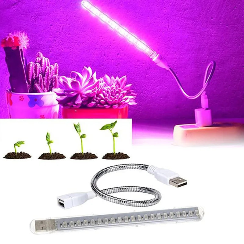 Portable Full Spectrum LED Grow Light — Red & Blue Phytolamp USB for Indoor Plants, Greenhouse, Vegetables & Hydroponics