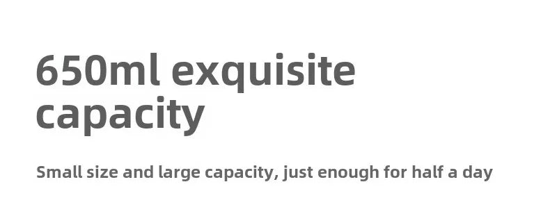 650ml Portable Electric Kettle — Travel Water Boiler with Temperature Control, LED Display Smart Teapot