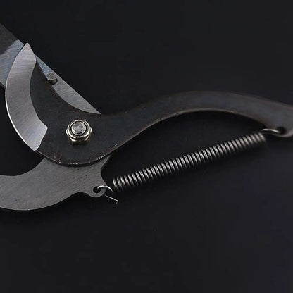 High-Branch Telescopic Scissors & Fruit Picker — Labor-Saving Gardening Tool for Pruning, Cutting, and Harvesting