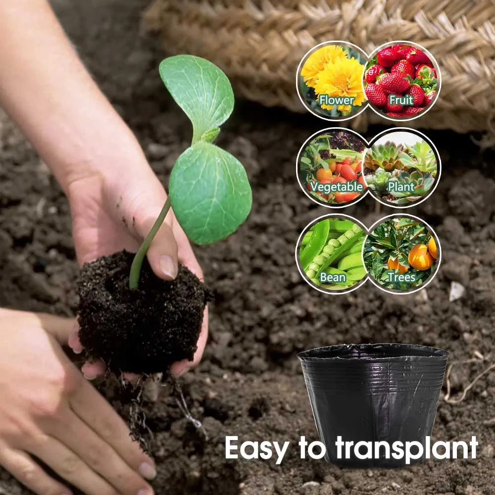 50pcs Black Plastic Seedling Pots – Breathable Nursery Containers for Seed Starting & Plant Cuttings