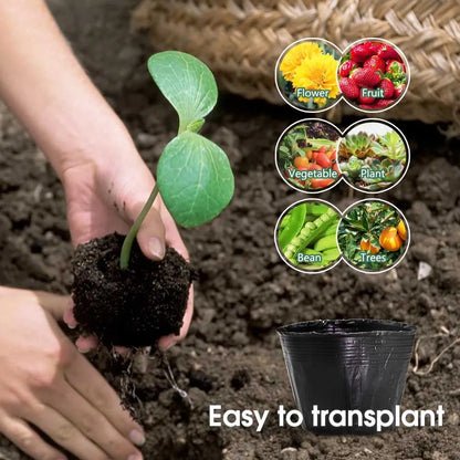 50pcs Black Plastic Seedling Pots – Breathable Nursery Containers for Seed Starting & Plant Cuttings