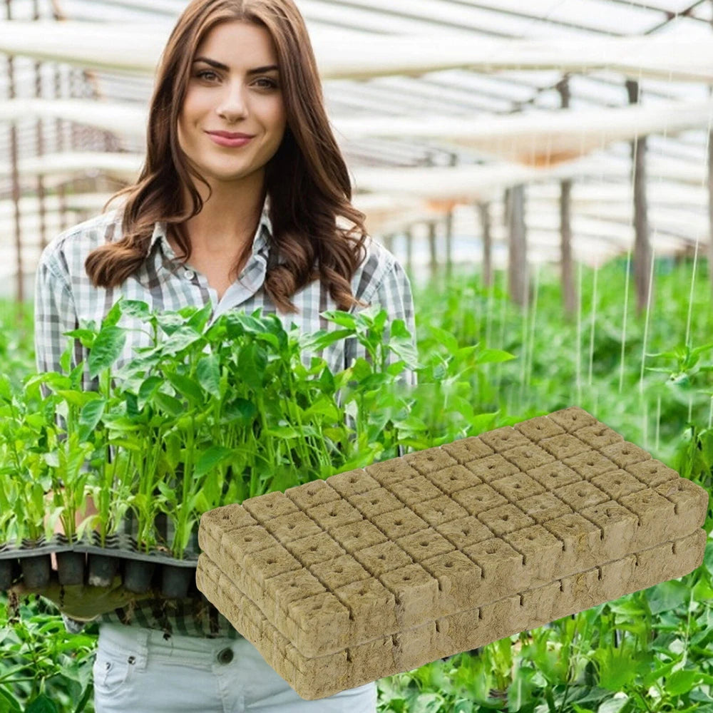 Stonewool Hydroponic Grow Cubes — 500/50x Seedling Blocks for Garden Germination & Water Cultivation
