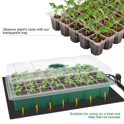 3pcs 40-Cell Seed Tray Set — Thickened Seedling Propagator with Transparent Cover for Greenhouse & Garden
