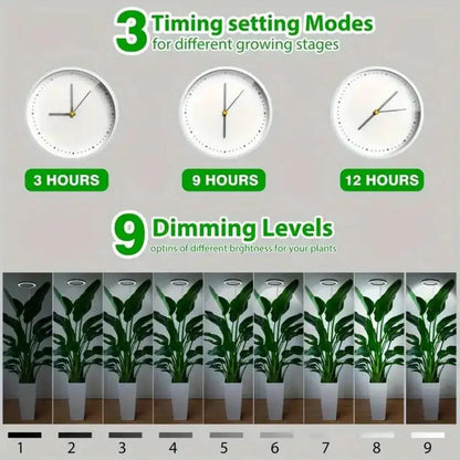 Height Adjustable LED Grow Light — Full Spectrum Plant Growing Lamp with 3 Timers for Indoor Large Plants