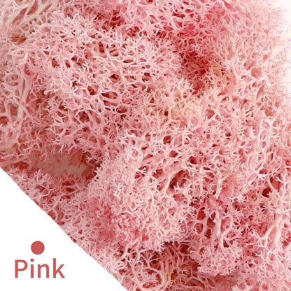 48640855146803|48640855277875|48640855343411