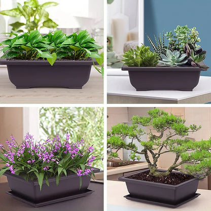 Purple Clay Succulent Plant Pots – Outdoor Garden Bonsai Planters, Rectangular & Square