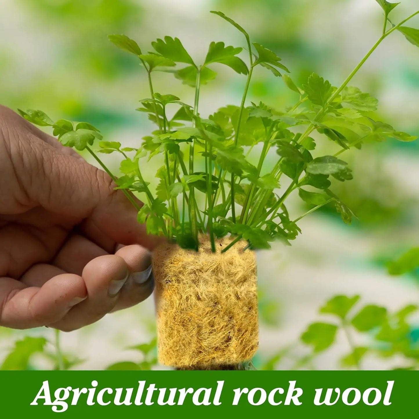 Sponge Block Starter Plugs — Rockwool Grow Cubes for Seedlings, Hydroponics & Plant Propagation
