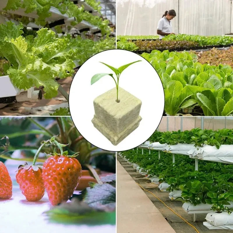 Seedling Grow Cubes — Stonewool Soilless Hydroponic Blocks for Vegetable & Plant Growing