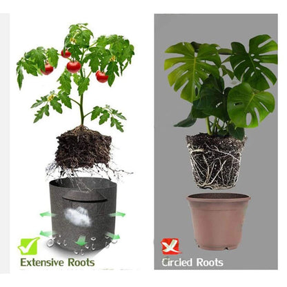 5-Pack Grow Bags with Handles — Aeration Fabric Pots for Plants, Available in 3, 4, 5, 7 & 30 Gallon