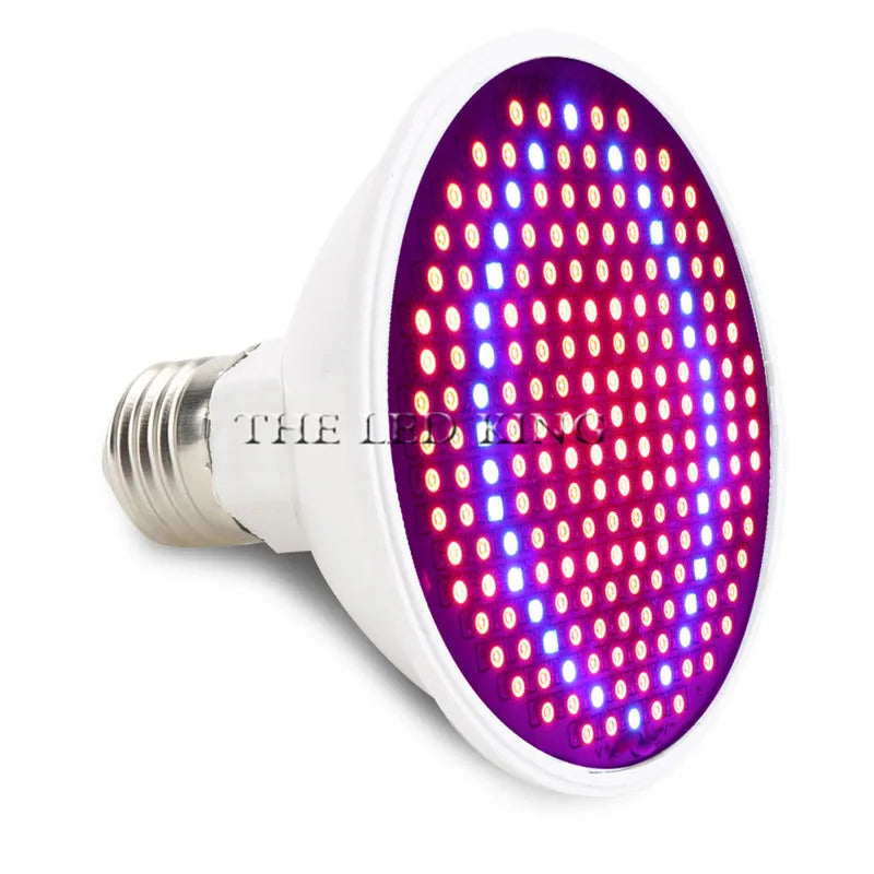 Phyto Lamp Full Spectrum LED Grow Light — E27 Plant Lamp for Indoor Seedlings, Flowers & Grow Tent Box