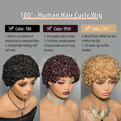 99J Short Curly Pixie Human Hair Wig - Full Machine Made, Affordable Kinky Curls on Clearance