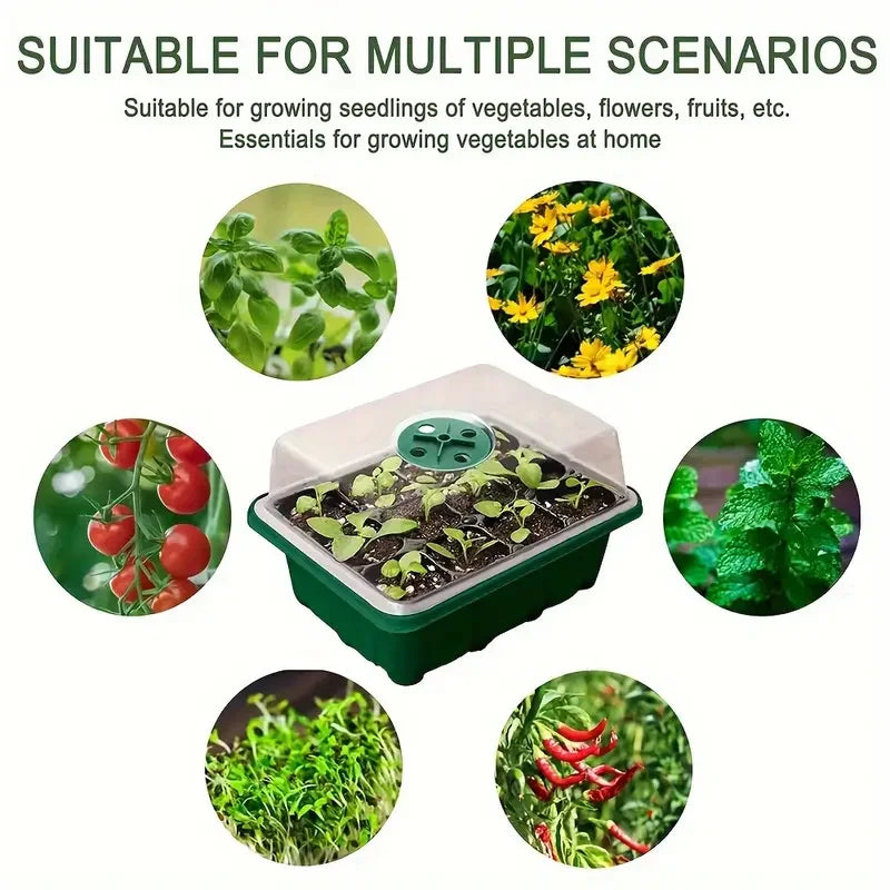 Green Seedling Pot — Multifunctional Planting & Transplanting Box for Gardening and Seedling Care