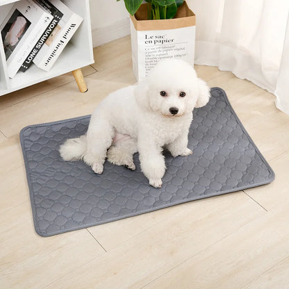 Reusable Dog Pee Pad Blanket - Absorbent Washable Puppy Training Pad - Multipurpose Pet Bed Urine Mat for Car Seat Cover and More - Essential Pet Supplies