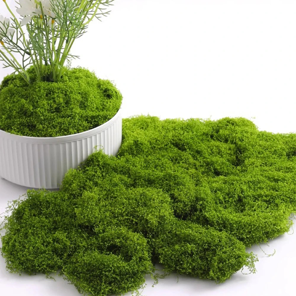 Artificial Green Plants for Eternal Life Moss DIY Crafts: Mini Landscape Fake Grass for Home, Room, and Garden Decor - Available in 20/40/100g
