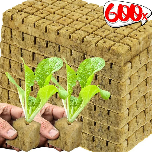 Sponge Block Starter Plugs — Rockwool Grow Cubes for Seedlings, Hydroponics & Plant Propagation