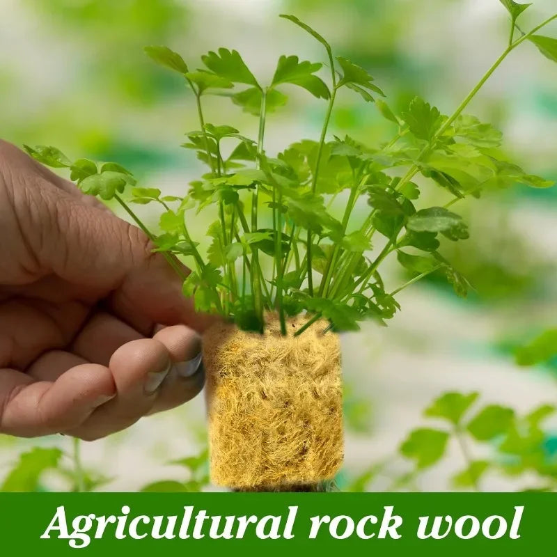 Sponge Block Starter Plugs — Rockwool Grow Cubes for Seedlings, Hydroponics & Plant Propagation