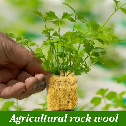 Sponge Block Starter Plugs — Rockwool Grow Cubes for Seedlings, Hydroponics & Plant Propagation