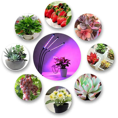 1/2/3/4 Head LED Plant Grow Light — Clip-On Full Spectrum Lamp with USB, Dimmable, Timer & 3-Color Switching for Indoor Plants