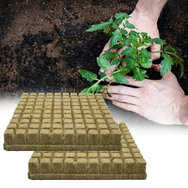 50pcs 25x25x25mm Stonewool Hydroponic Grow Cubes — Rockwool Seedling Blocks for Soilless Plant Cultivation