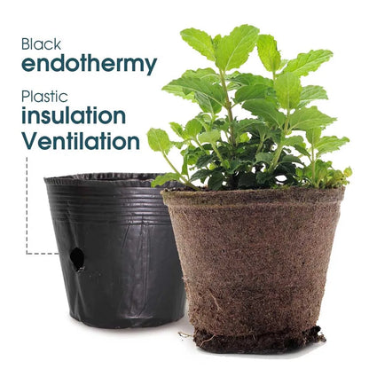 50pcs Black Plastic Seedling Pots – Breathable Nursery Containers for Seed Starting & Plant Cuttings