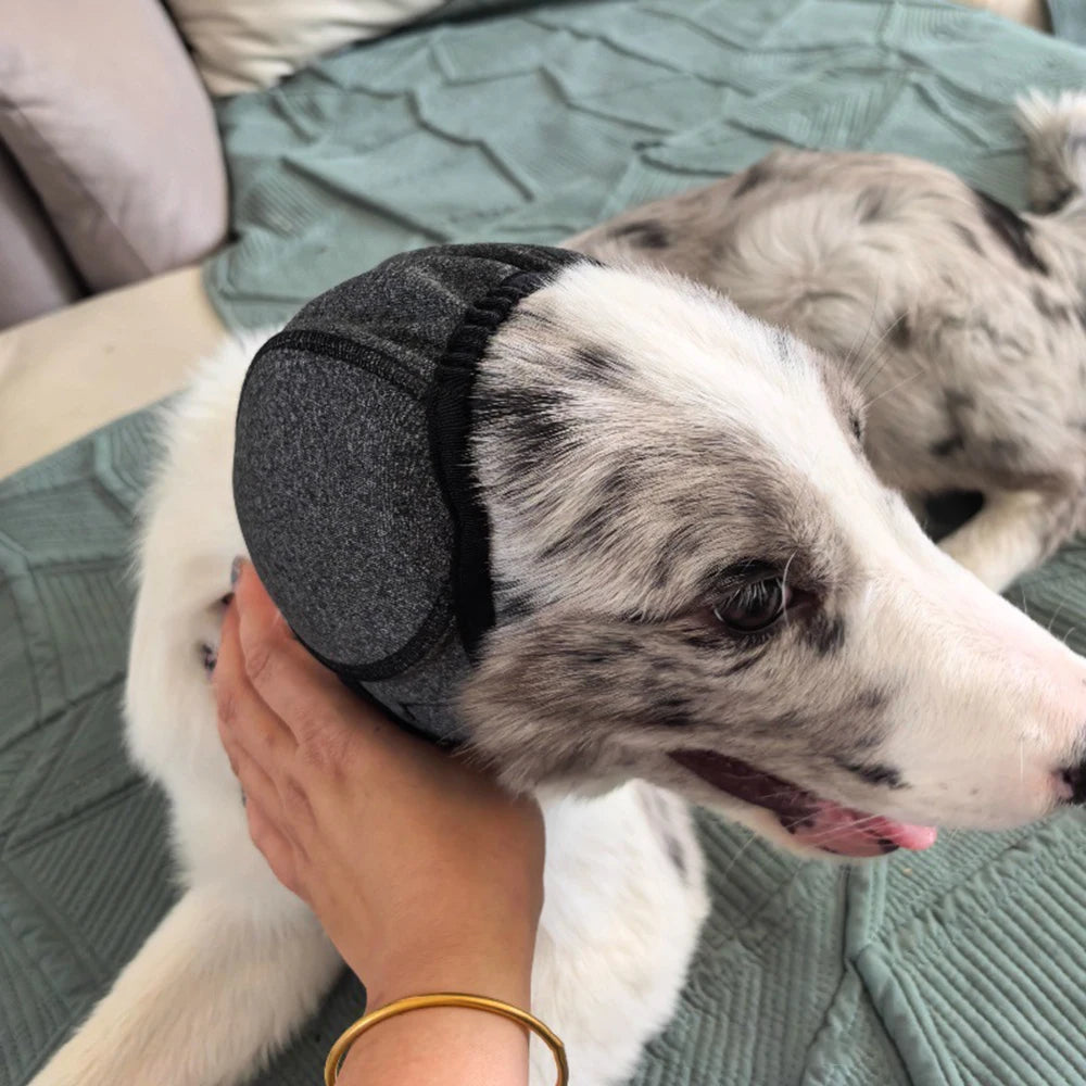 Dog Noise Reduction Ear Muffs — Waterproof Sound-Insulating Headgear for Swimming & Emotional Soothing