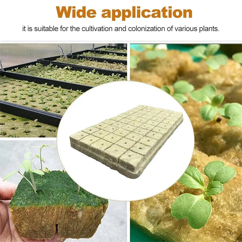 Seedling Grow Cubes — Stonewool Soilless Hydroponic Blocks for Vegetable & Plant Growing