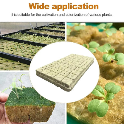 Seedling Grow Cubes — Stonewool Soilless Hydroponic Blocks for Vegetable & Plant Growing