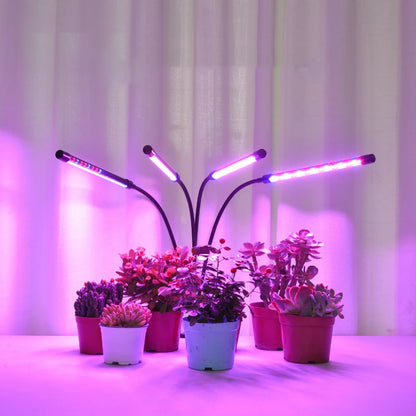 1/2/3/4 Head LED Plant Grow Light — Clip-On Full Spectrum Lamp with USB, Dimmable, Timer & 3-Color Switching for Indoor Plants