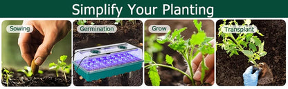 36-Cell Seed Starter Tray with Grow Light — Adjustable 3-Color Lighting, Humidity Dome for Seed Germination