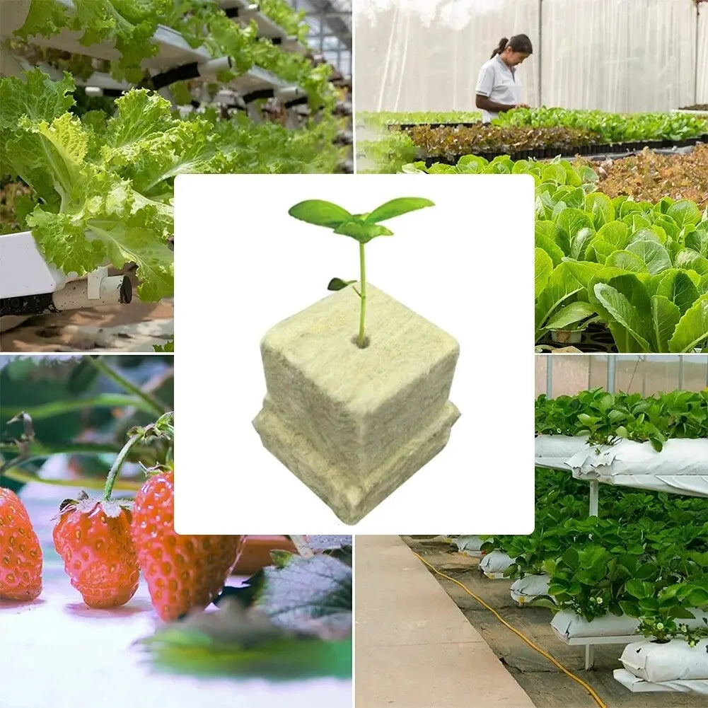 50pcs 25x25x25mm Stonewool Hydroponic Grow Cubes — Rockwool Seedling Blocks for Soilless Plant Cultivation