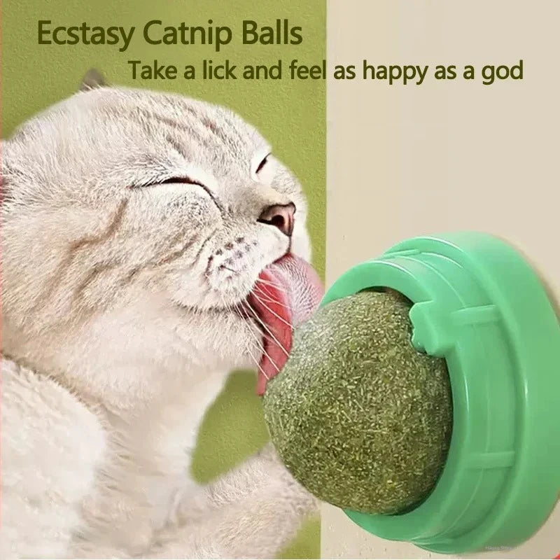 Natural Catnip Scratching Post – Wall Sticker and Ball Toy for Cats, Therapeutic Healthy Pet Products for Scratching and Play