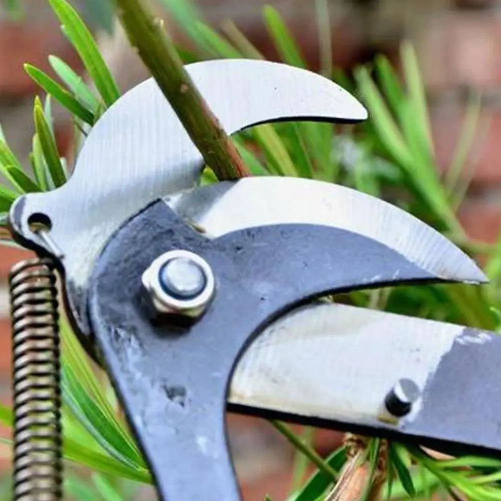 High-Branch Telescopic Scissors & Fruit Picker — Labor-Saving Gardening Tool for Pruning, Cutting, and Harvesting