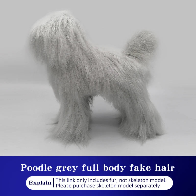 Pet Grooming Practice Poodle Model — Full Body Simulation Dog Mannequin for Grooming Training