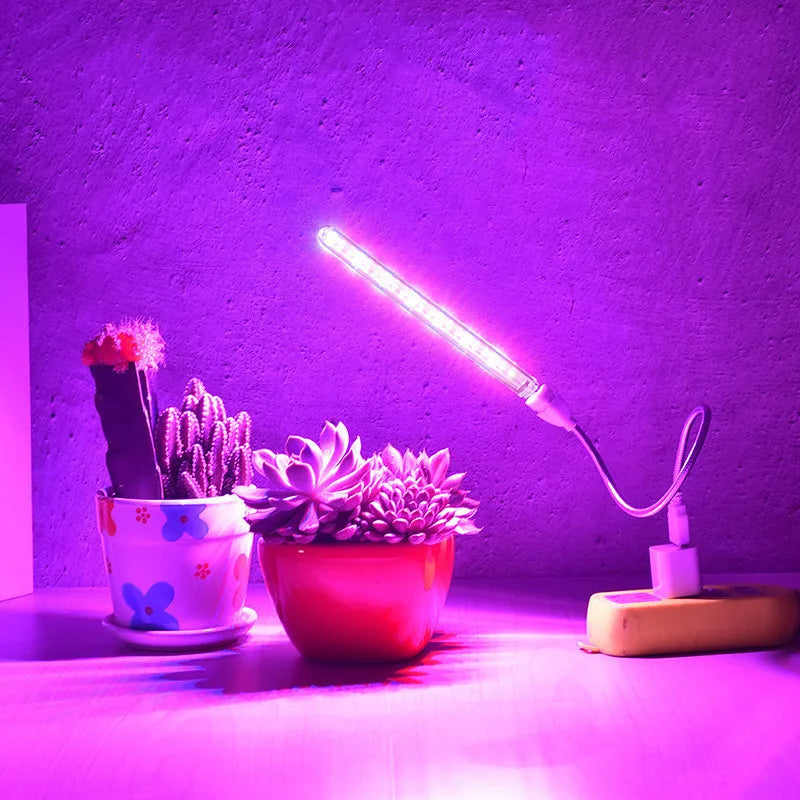 Portable Full Spectrum LED Grow Light — Red & Blue Phytolamp USB for Indoor Plants, Greenhouse, Vegetables & Hydroponics