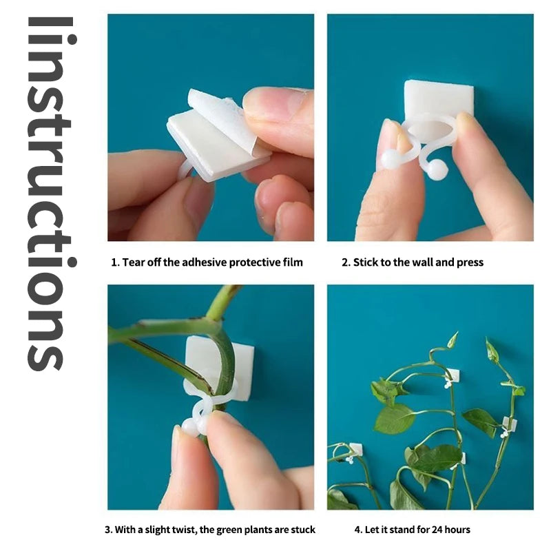 Self-Adhesive Plant Climbing Wall Buckle Hook: Fastener Tied Fixture for Garden Plant Wall - Vine Clips Included