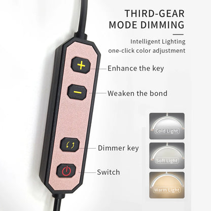 Andoer HD-M3X Desktop LED Video Light: Half-Moon Fill Light 3000K-6000K with C-Clamp | Ideal for Beauty Salon, Makeup, Live Streaming