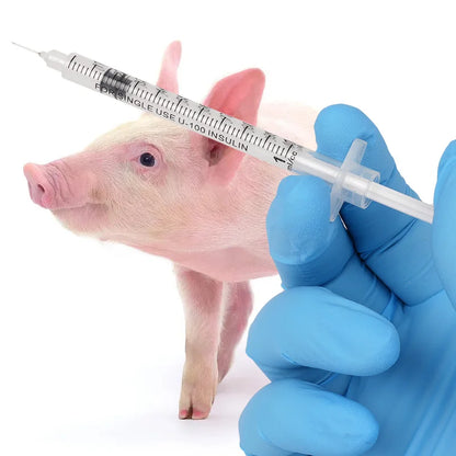 20/50/100Pcs Disposable Veterinary Syringes – Manual Push 0.3/0.5/1ml with Needles for Cats, Dogs, Pigs & Farm Animals