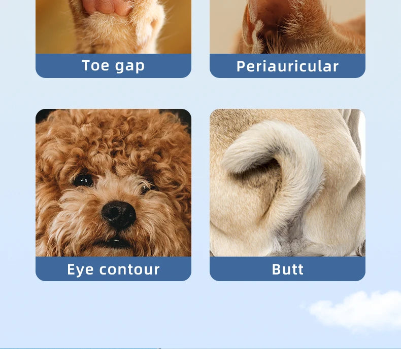 Type-C Dog Paw Trimmer - Waterproof Pet Hair Clippers with LED Light & Display, 18mm Wide Blade Grooming Tool