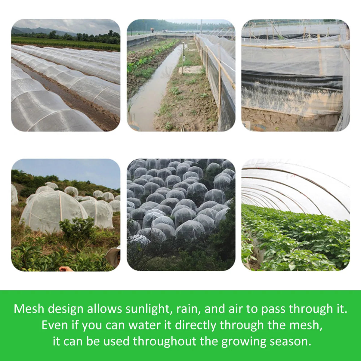 Garden Net Plant Protection Cover – Ultra-Fine 60 Mesh Insect Control Net for Vegetables, Plants, and Fruits